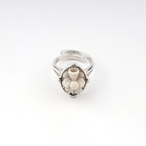 Anello luci A93-101227